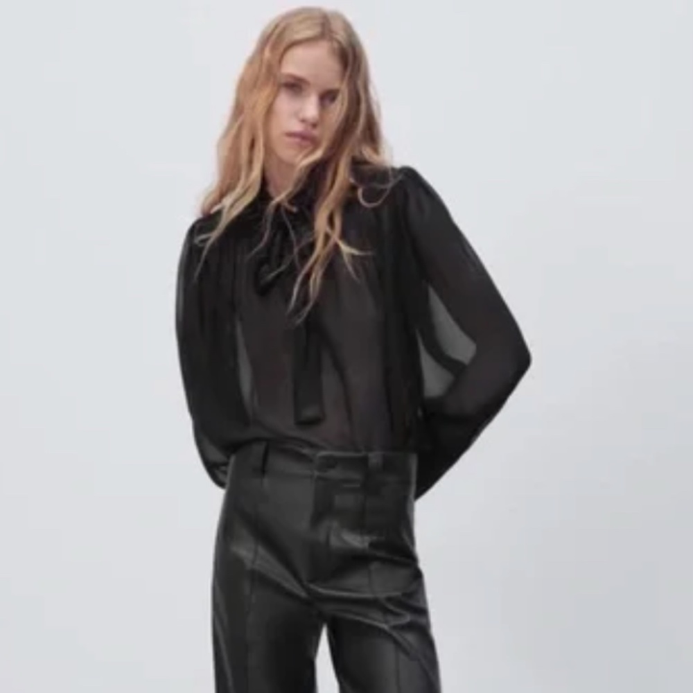 NWOT Sheer victorian style blouse Small